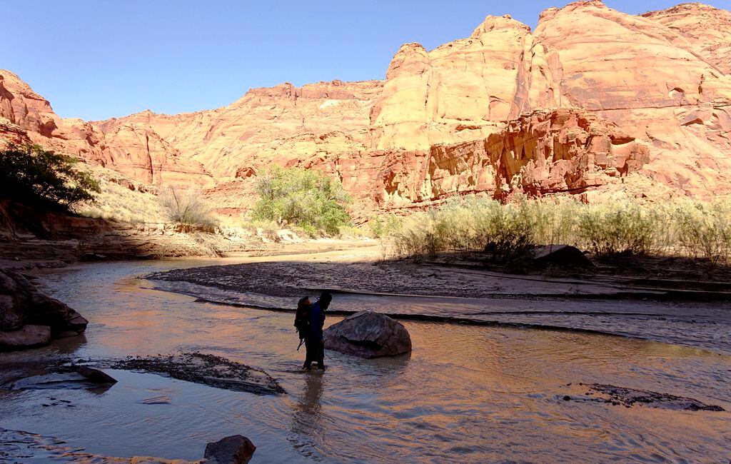 are dogs allowed in paria canyon