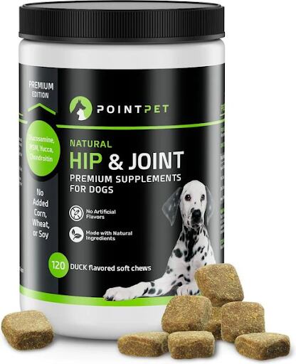 what is best for dog joint pain