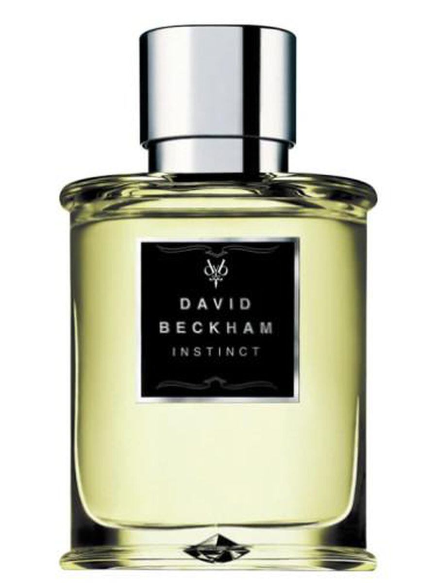 Men's Perfume Recommendations — School of Scent