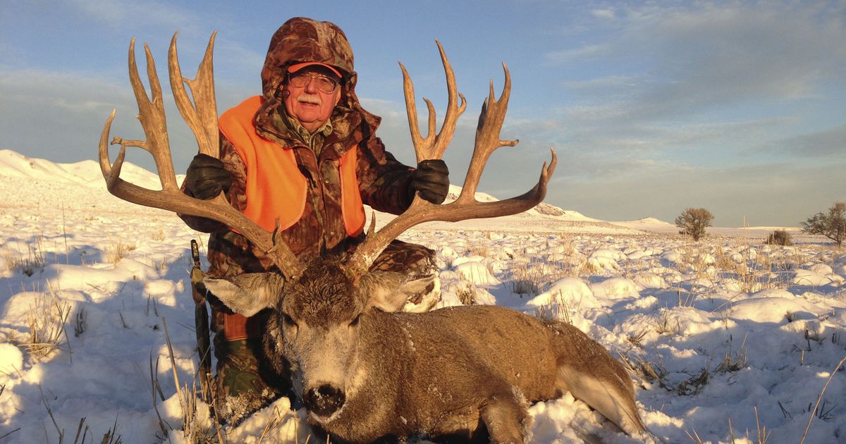 Antelope Island trophy mule deer tag draws world record bid of 390,000