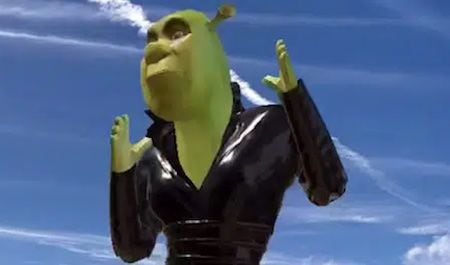 cara do shrek｜Pesquisa do TikTok