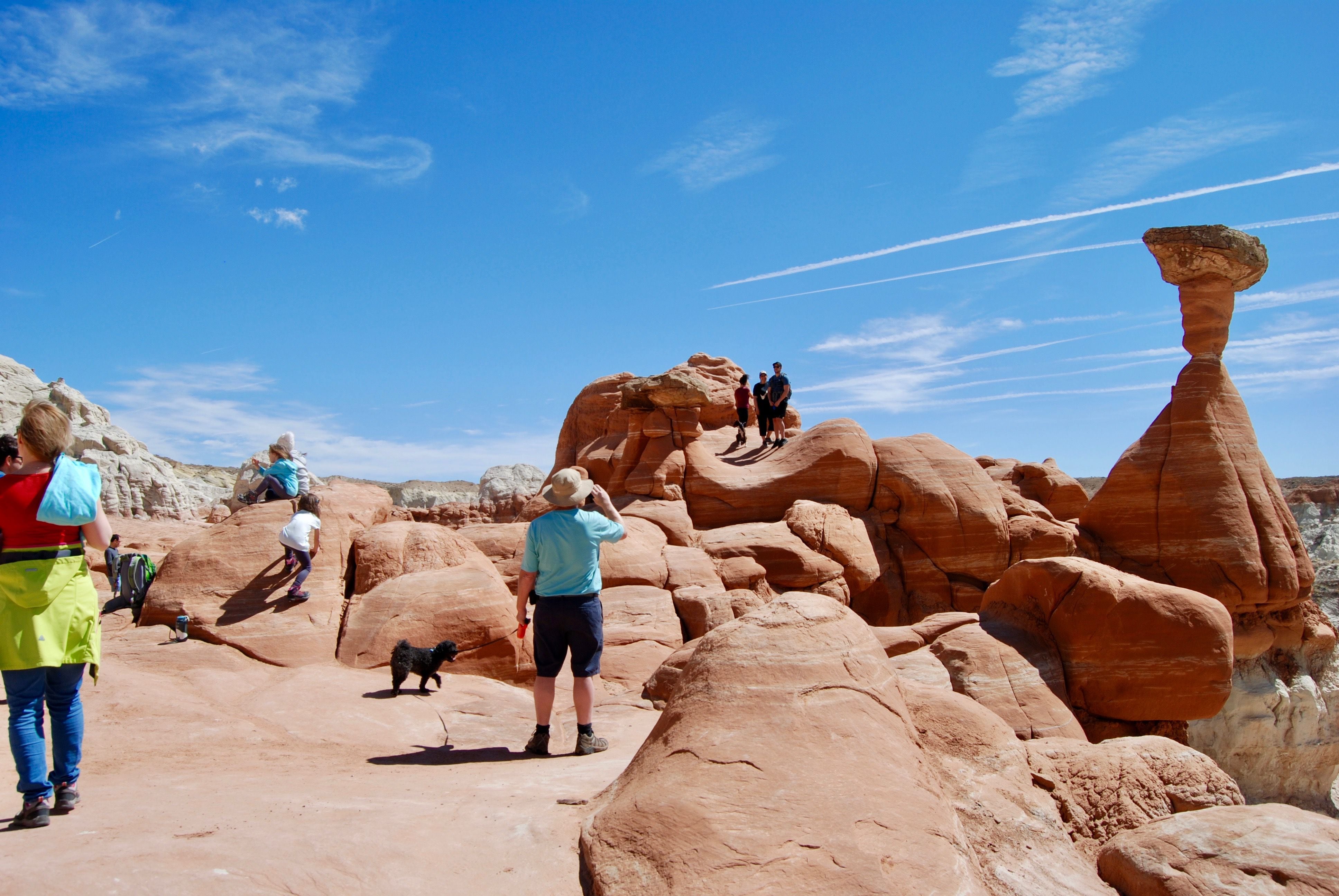 (Brian Maffly | Tribune file photo) Tourists explore the Toadstools, formations located in an area removed from the Grand Staircase-Escalante National Monument. The popular hiking spot 45 miles east of Kanab is among the many BLM sites Kane and Garfield counties closed to recreational use on Tuesday to limit the spread of the coronavirus in these rural southern Utah communities. 