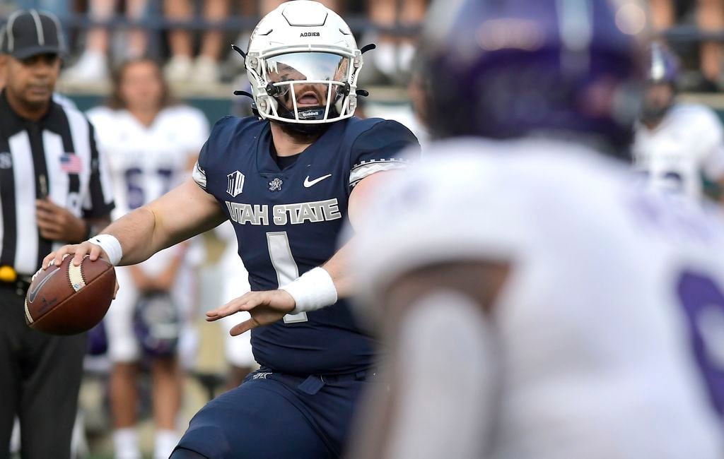 U-State Apron  Utah State Aggies