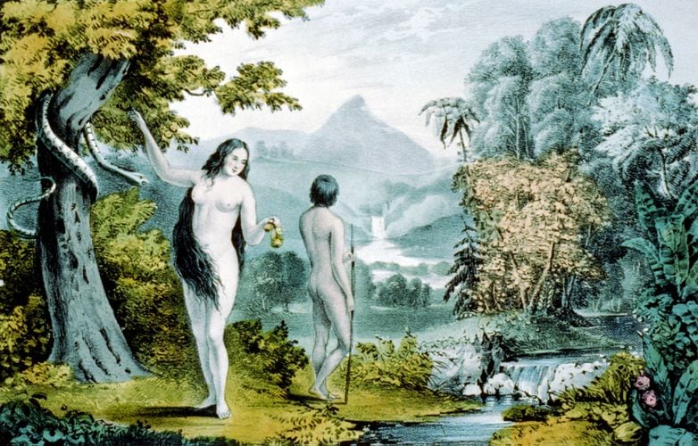 Eve Naked in Garden of Eden With Giant Leaf – My Wife's Boobs