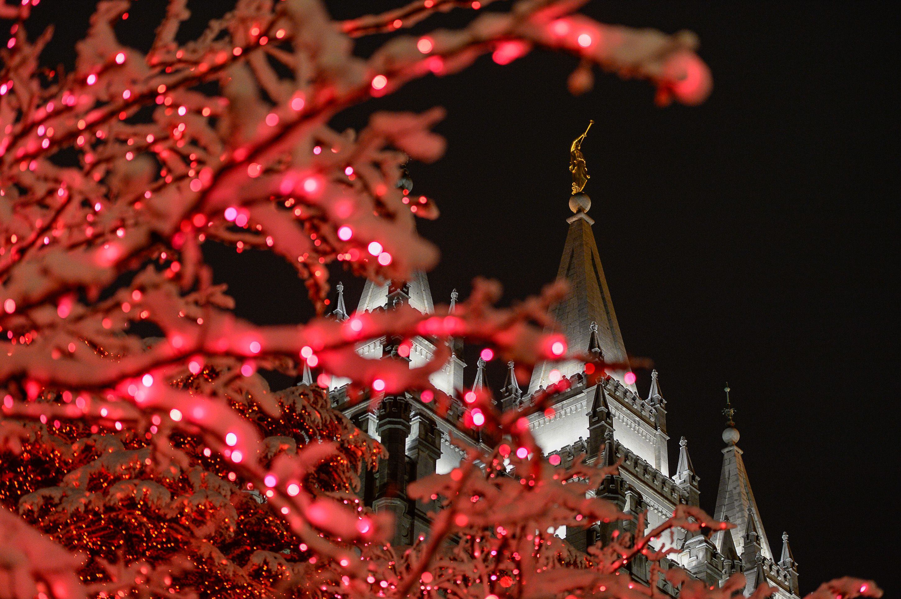 (Francisco Kjolseth | The Salt Lake Tribune) Visitors take in the sights as Temple Square in Salt Lake City comes to life Friday, Nov. 29, 2019, as hundreds of thousands of colorful LED bulbs light up, a yearly tradition that started in 1965. The lights will run through the end of the year.