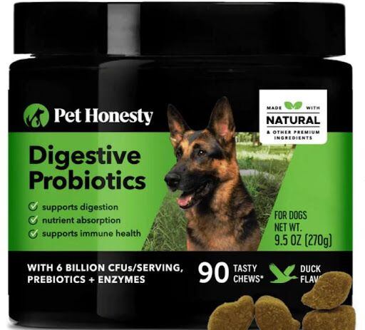 Petvitalitypro probiotics for outlet dogs