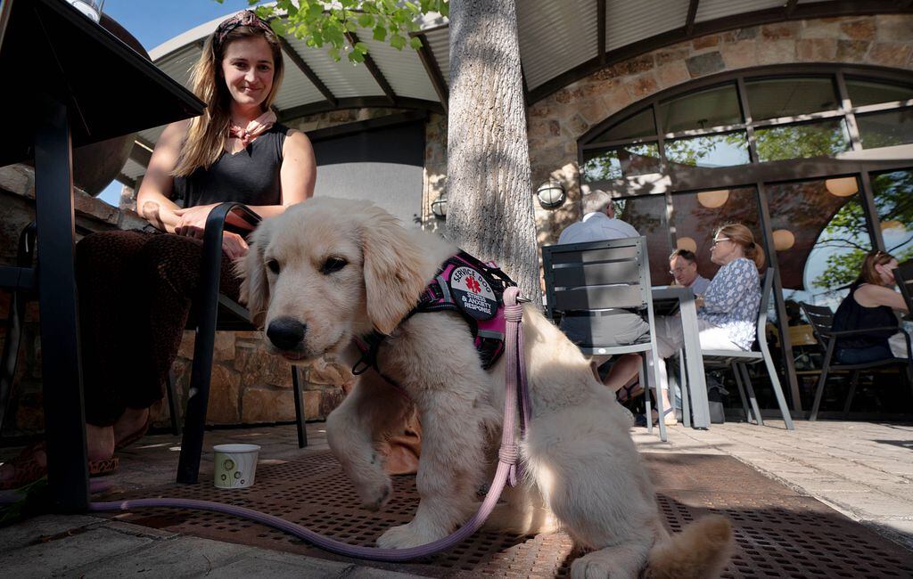 Starkville seeks to legally protect restaurants that allow dogs on patios -  The Dispatch