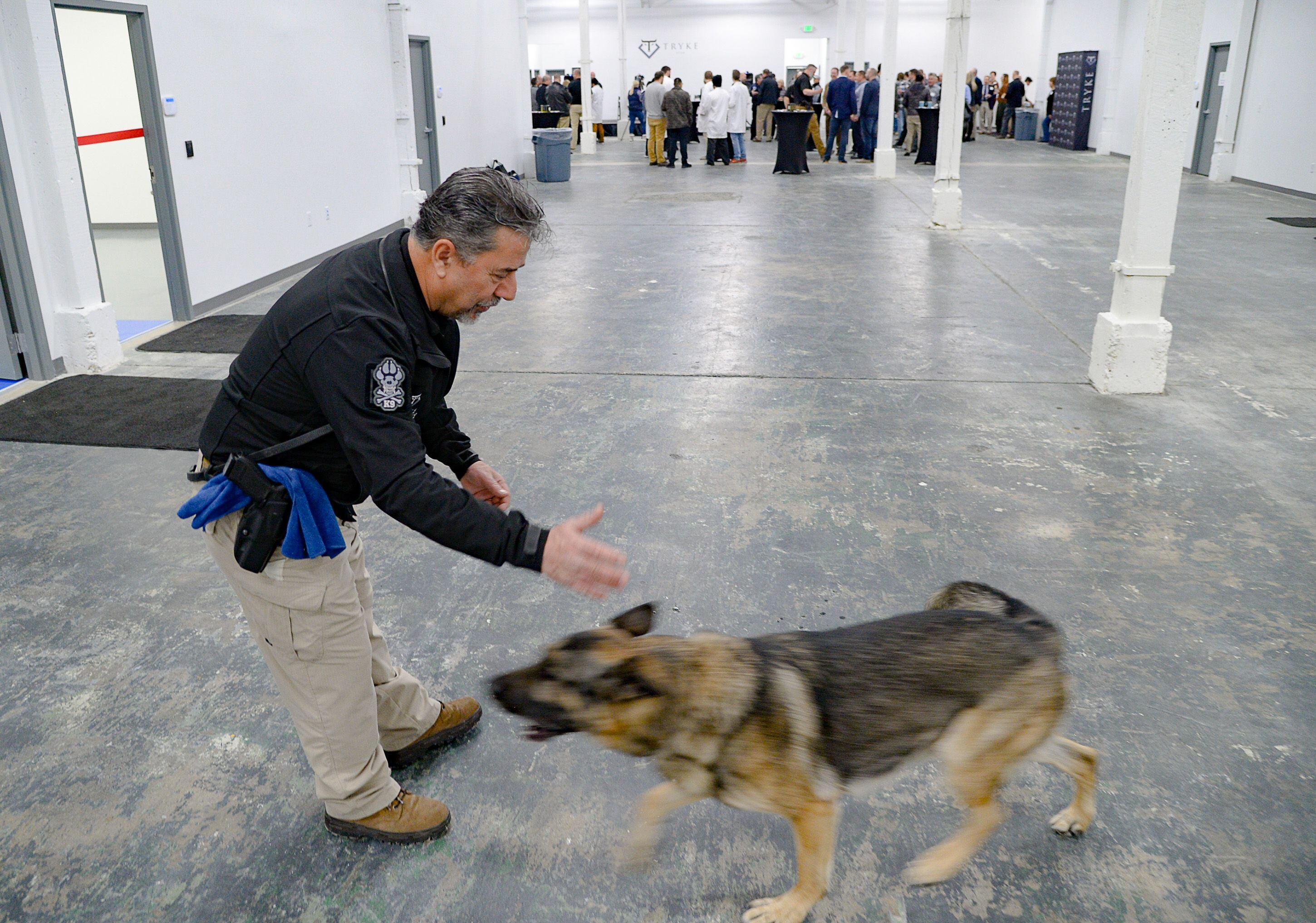 (Francisco Kjolseth | The Salt Lake Tribune) Security team member Walter Simpson works with his dog Nero who specializes in making sure no cannabis is smuggled out by employees at Tryke Companies, a new cannabis farm in Tooele, Utah on Thursday, Jan. 30, 2020.