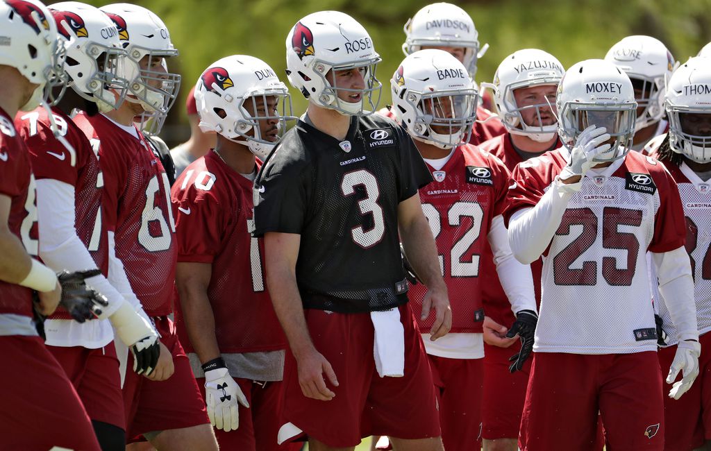 A quick look at Josh Rosen and the Arizona Cardinals