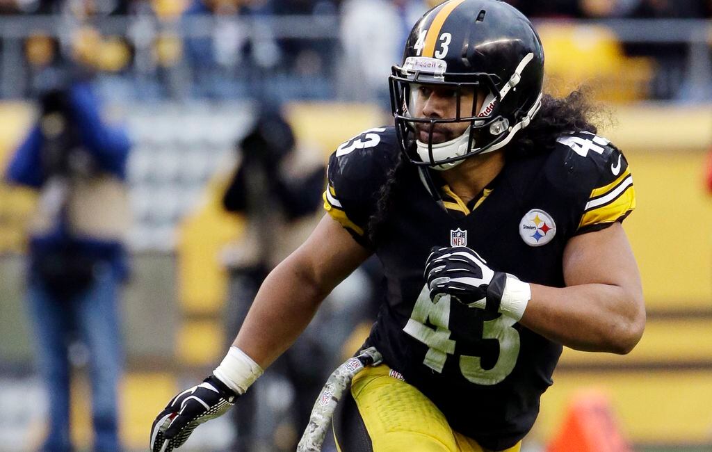 Troy Polamalu joins Steelers greats in Pro Football Hall of Fame