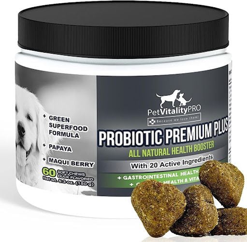 do probiotics make dogs poop more