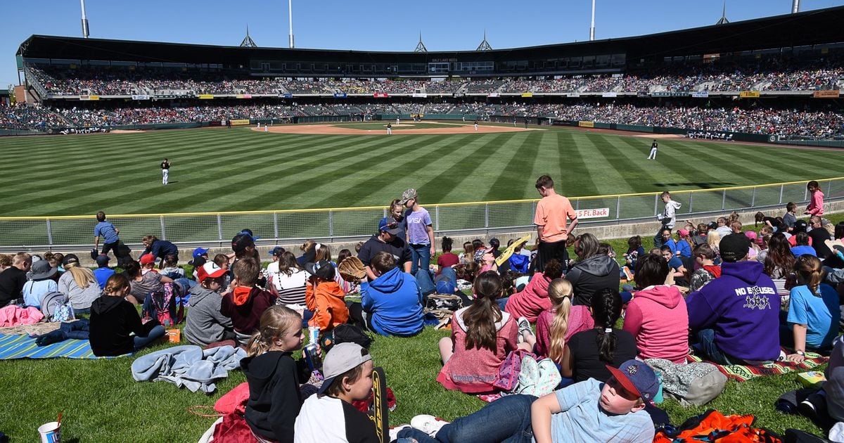 Bees to extend netting at Smith's Ballpark