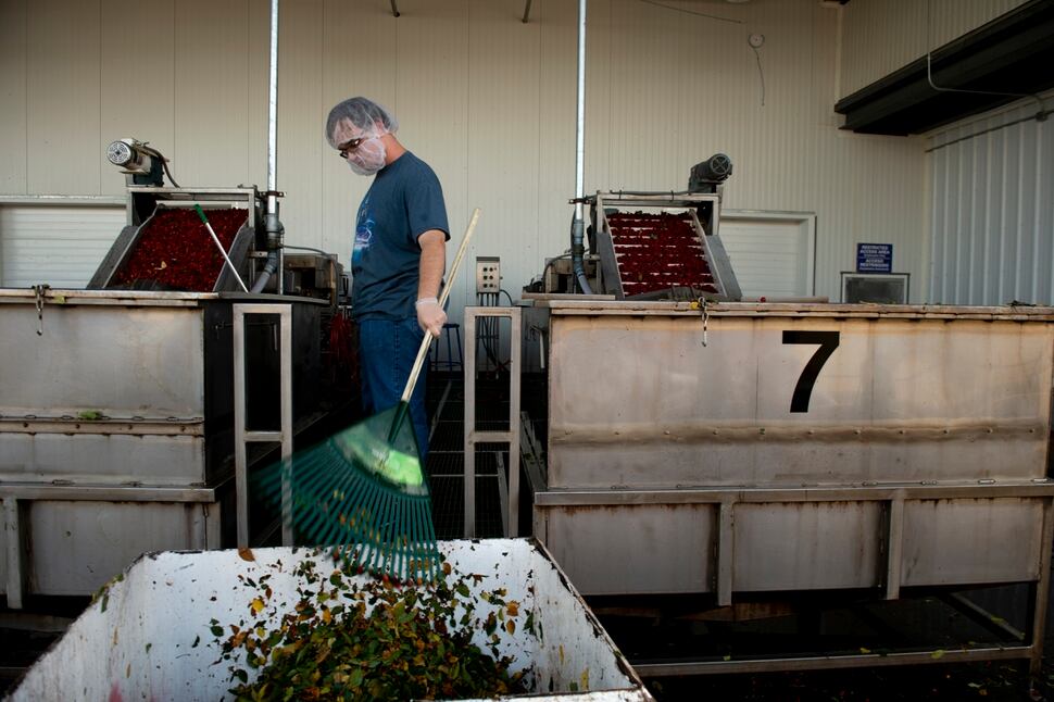 Utahs Growing Population Could Threaten Its Massive Cherry Production The Salt Lake Tribune 