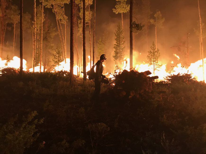 Utah S Largest Fire Of 2020 Torched The Uintas South Slope But It May Have Done Some Good