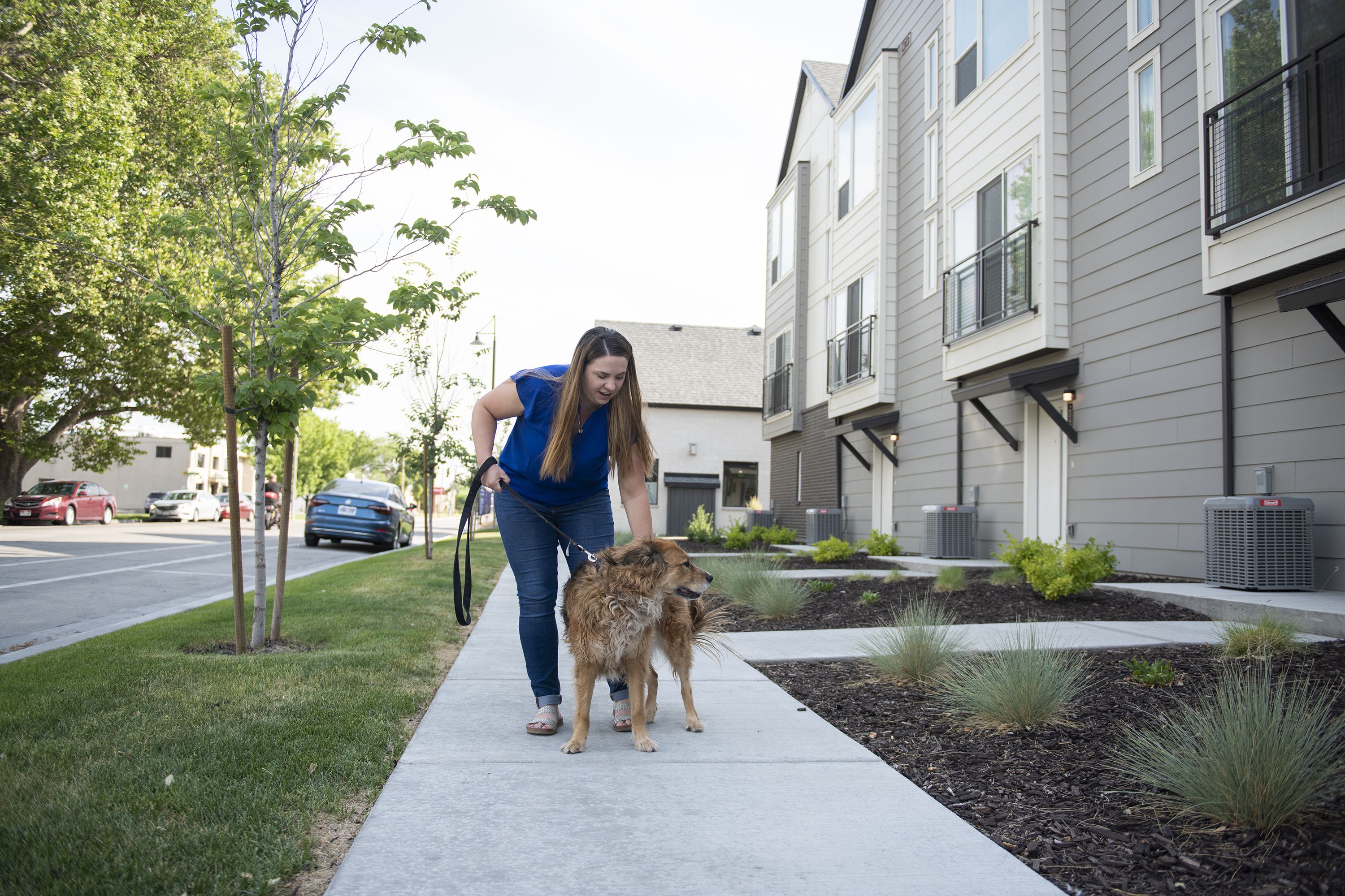 Apartment owners utilize DNA tests to identify dog poop