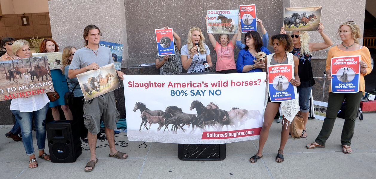Commentary: Wild horse summit excludes key advocates, public - The Salt