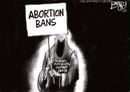 Unintended Consequences | Pat Bagley