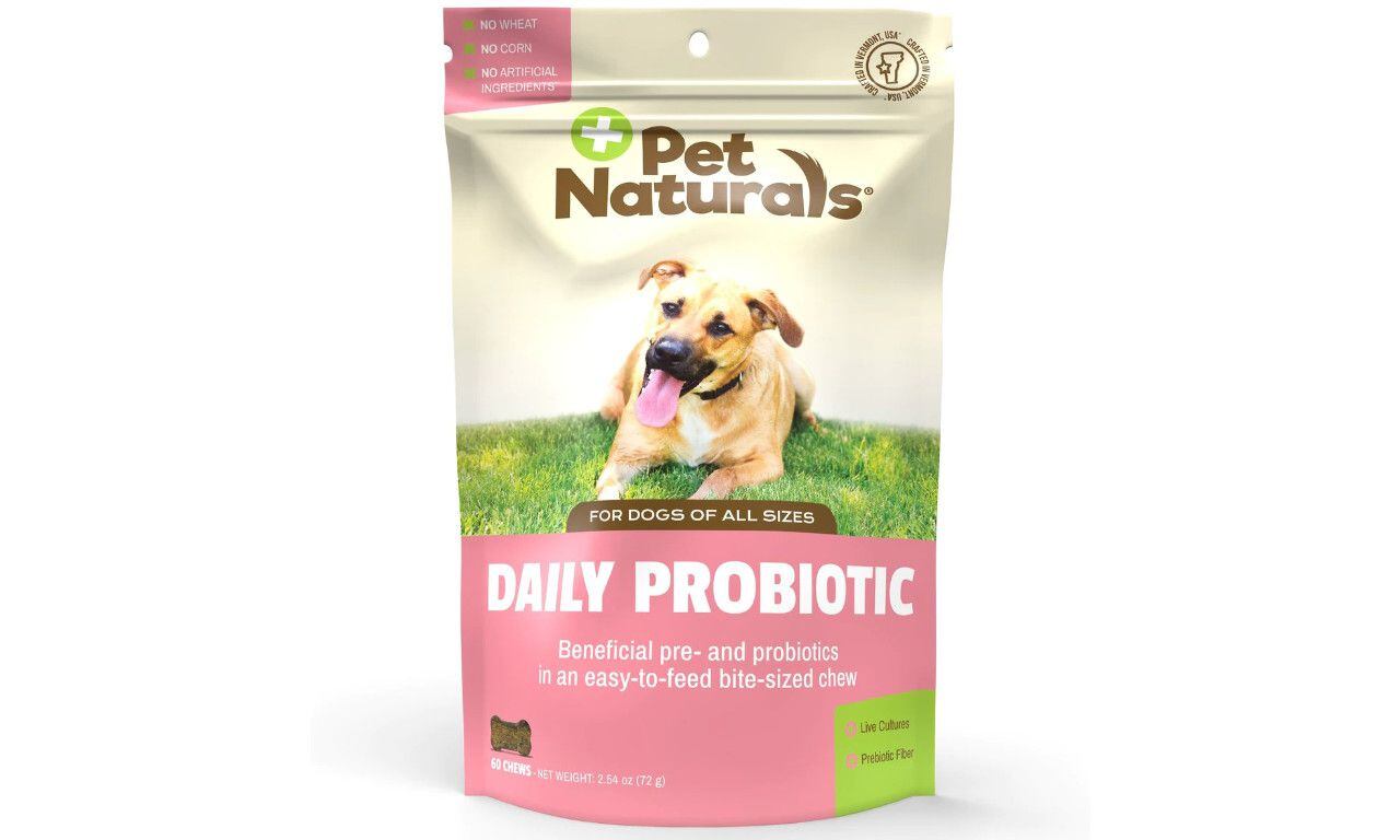 do probiotics help with allergies in dogs