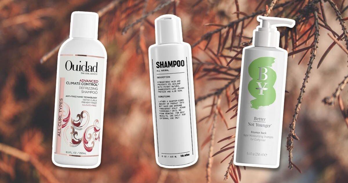 10 Best free shampoos for hair
