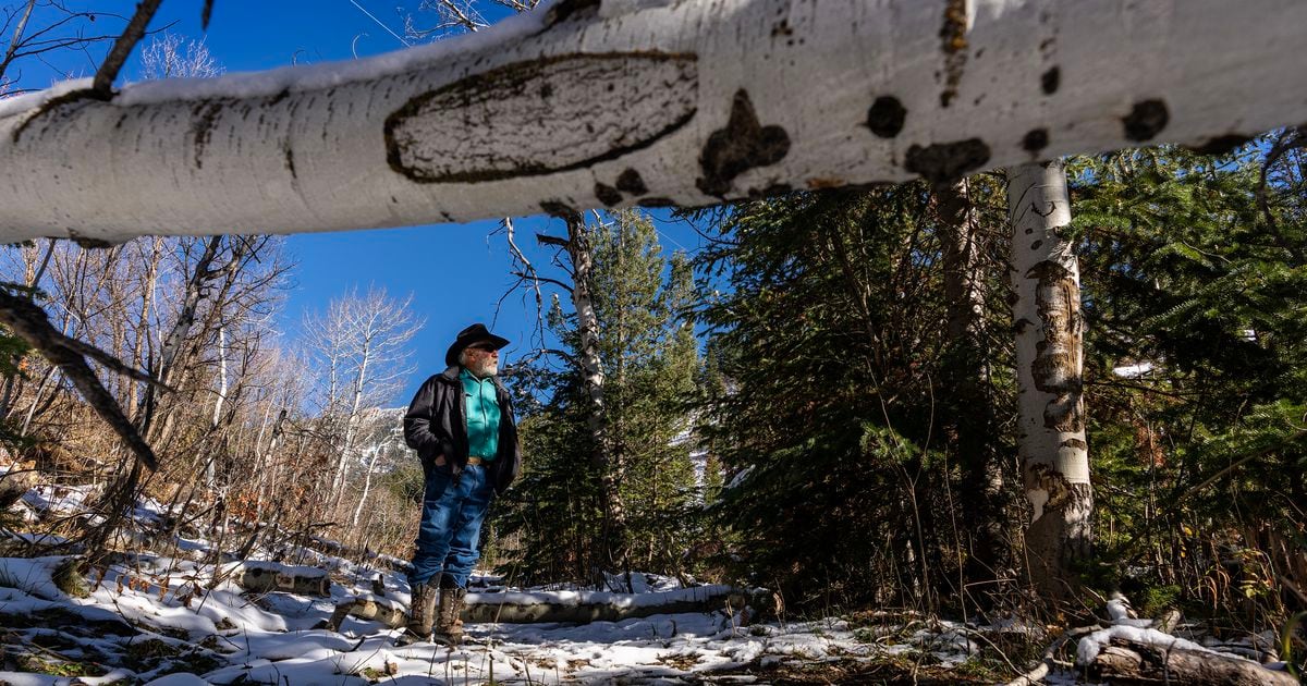 ‘Our climate ally’: Why Utah scientists are enlisting beavers — yes, beavers — to fight wildfires, drought