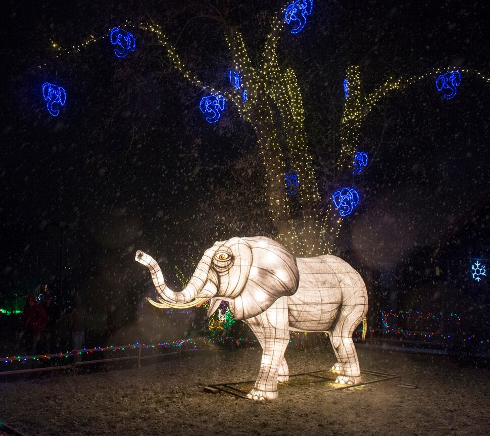 Utah’s Hogle Zoo annual winter lights show opens - The Salt Lake Tribune