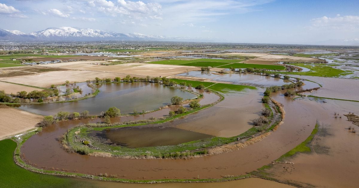 ‘Out of the woods’: Flood risk in northern Utah could soon be gone, says a water manager