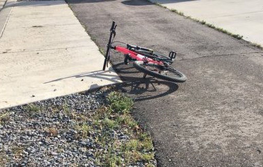 why do dogs attack bikers