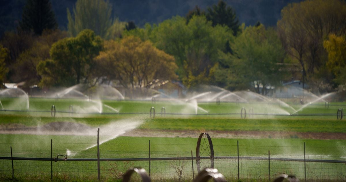 When it comes to water in Utah, the Editorial Board writes, faith without works is dead