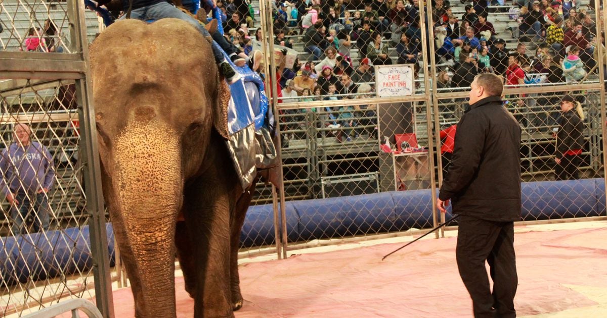 A circus show in Utah won’t feature exotic animals for the first time