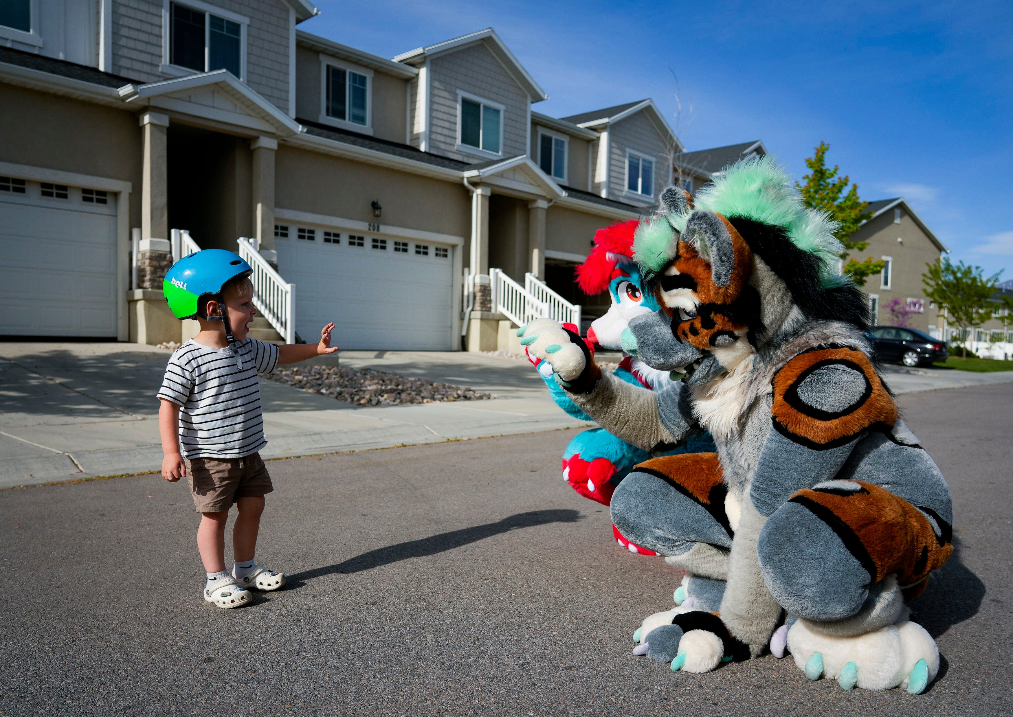 Utah furry fandom: what members want you to know about hobby targeted by  conservatives