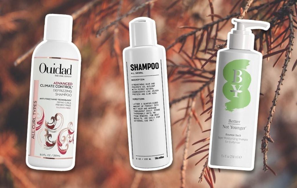 10 Best free shampoos for hair