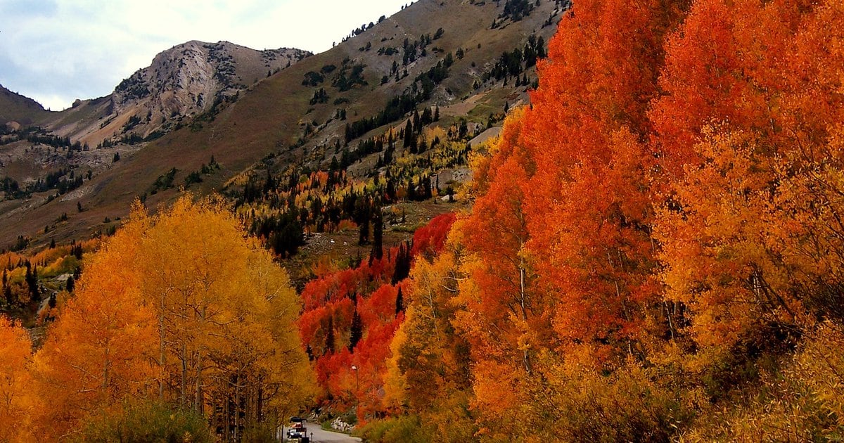 Don’t be fooled by East Coast elitism; Utah’s autumn display is second
