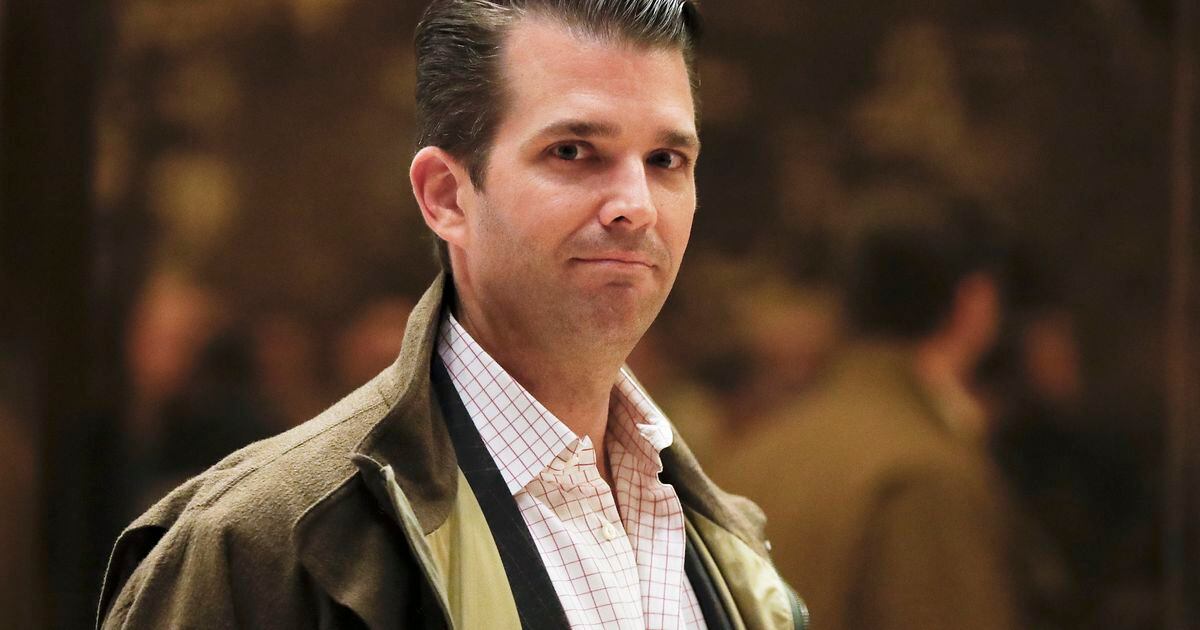 letter-here-s-a-reality-tv-show-proposal-for-donald-trump-jr