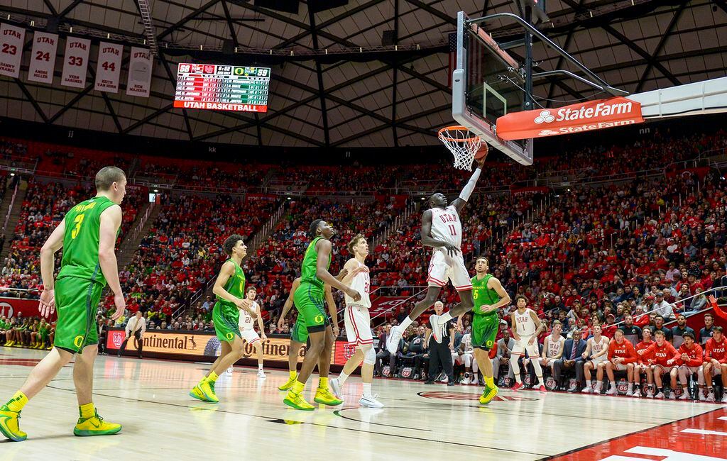 Report: Louisville's arena an option to house Raptors next season