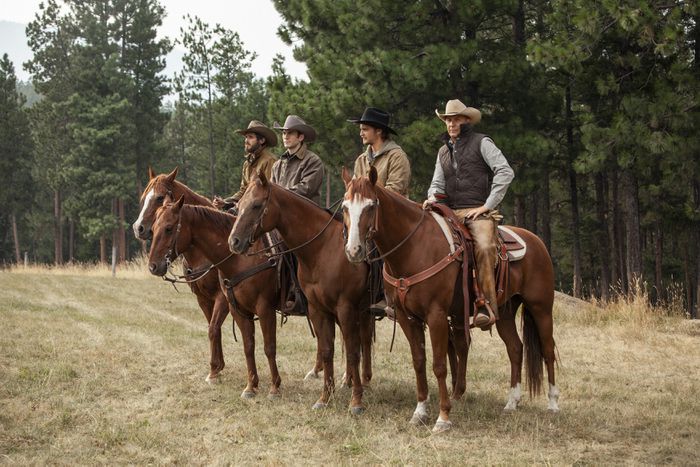 Yellowstone Paramount Network