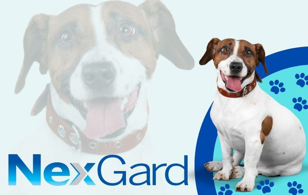 is nexgard bad for dogs