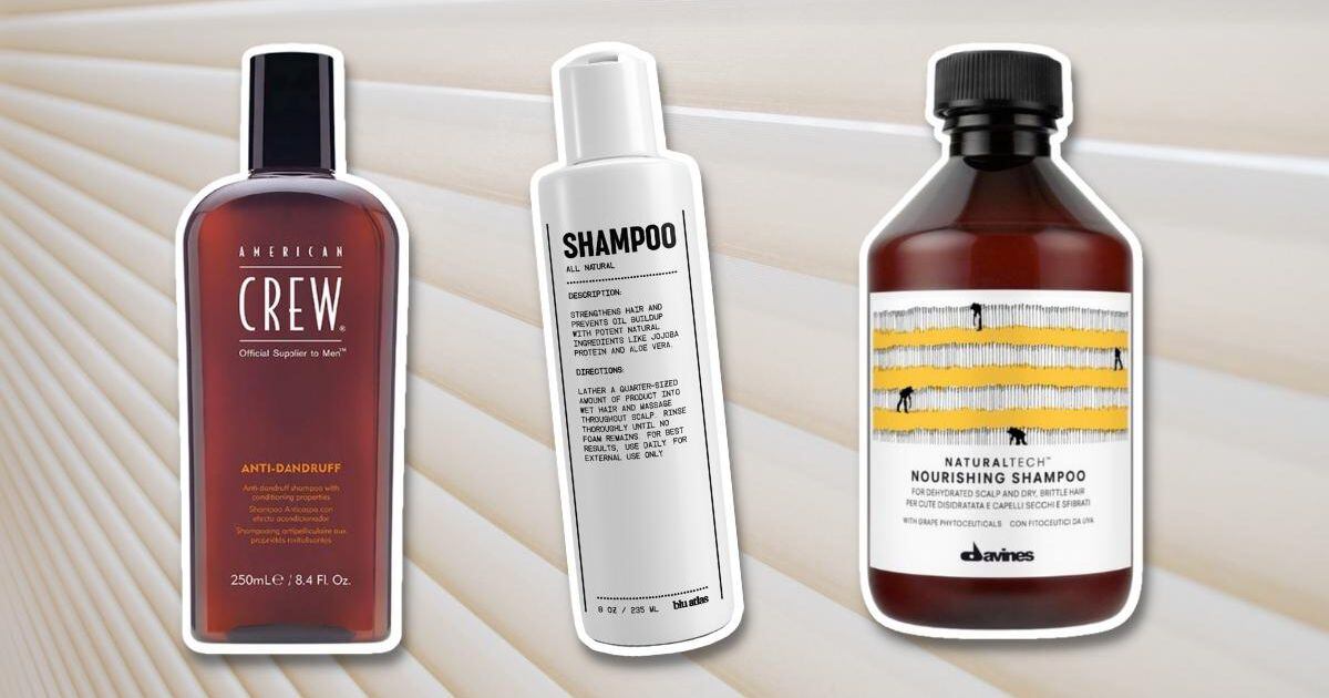 The Best shampoos for dry