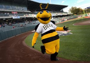 Minor League Baseball Delays 2021 Triple-A Season, Salt Lake Bees