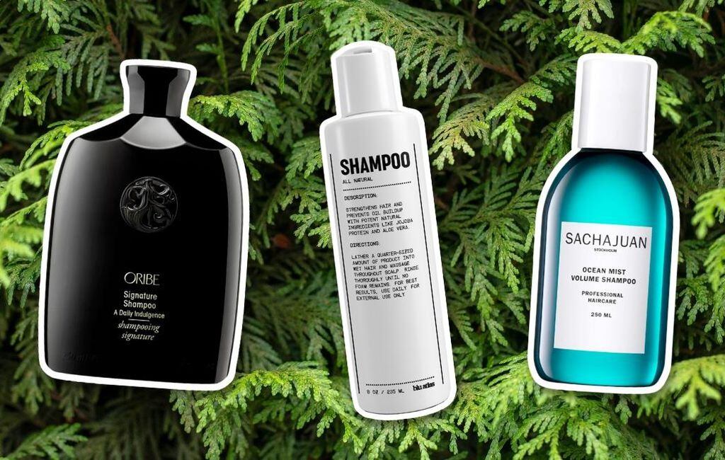 17 smelling shampoos for men in 2023