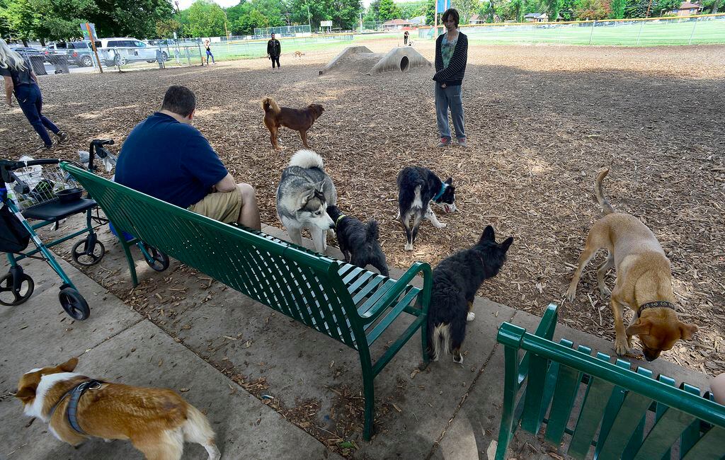 can dogs be off leash in public