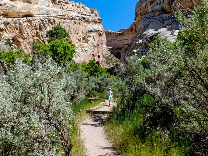 Utah Hike of the Week Box Canyon Dinosaur National Monument