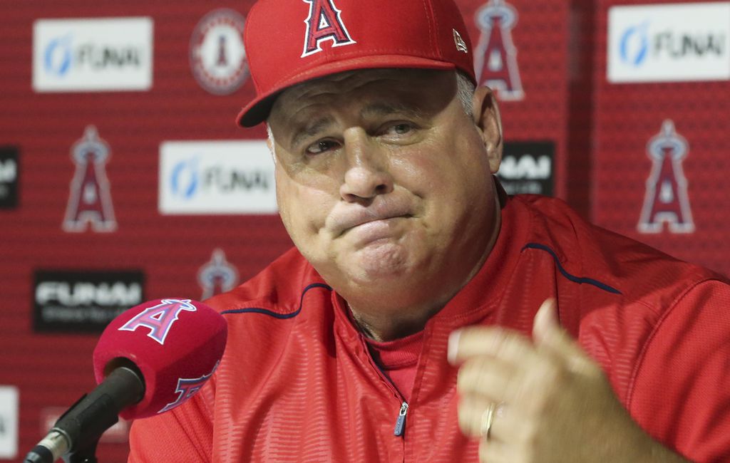 Scioscia set for extended stay in charge of Angels