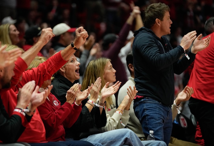 (Francisco Kjolseth  |  The Salt Lake Tribune) The fans cheer on the Utes as they push into triple overtime in PAC-12 basketball action between the Utah Utes and the Arizona Wildcats at the Jon M. Huntsman Center, on Thursday, Feb. 8, 2024.