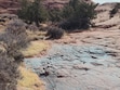 (Hunter Belcher) Blue dye from a powder canyon stains some of the petrified Navajo sandstone at Snow Canyon State Park near St. George in late December 2024. Trail technician Hunter Belcher spent five hours, and 24 gallons of water, cleaning up the vandalism.