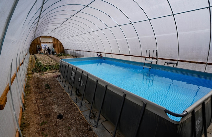 (Francisco Kjolseth  |  The Salt Lake Tribune) A pool takes up one end of a greenhouse belonging to Jonathan Olson at Riverbed Ranch, a remote community in the western Utah desert consisting of people interested self-sufficiency.