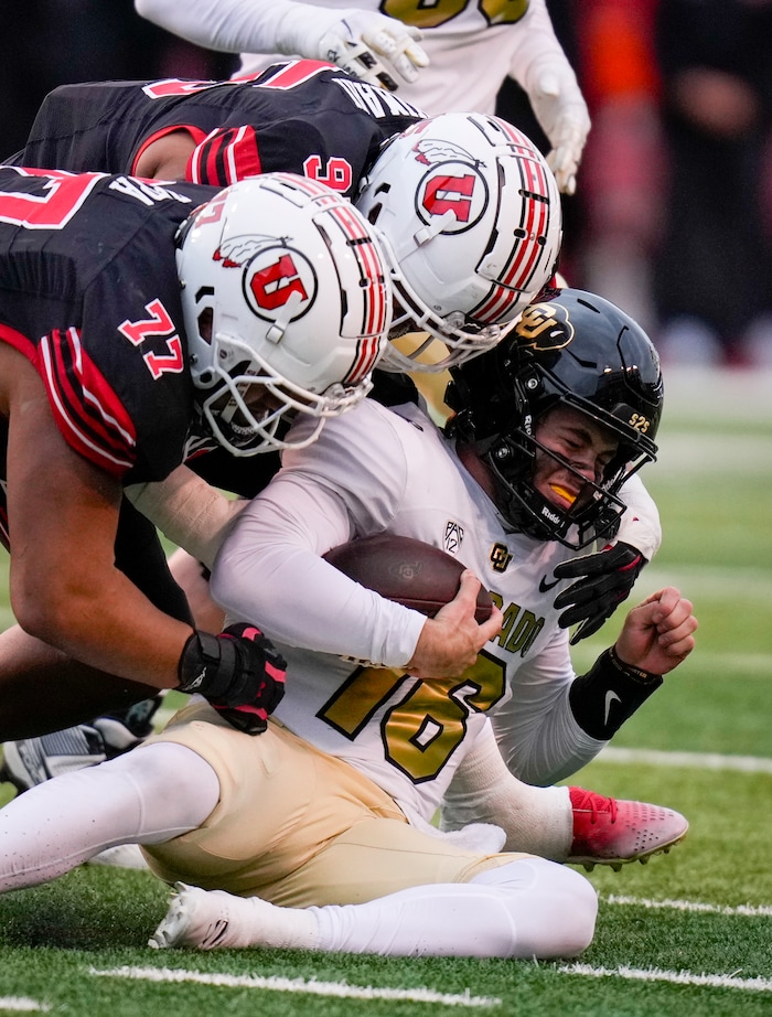 (Bethany Baker  |  The Salt Lake Tribune) Colorado Buffaloes quarterback Ryan Staub (16) is tackled by Utah Utes defensive tackle Simote Pepa (77) and Utah Utes defensive tackle Aliki Vimahi (95) at Rice-Eccles Stadium in Salt Lake City on Saturday, Nov. 25, 2023.