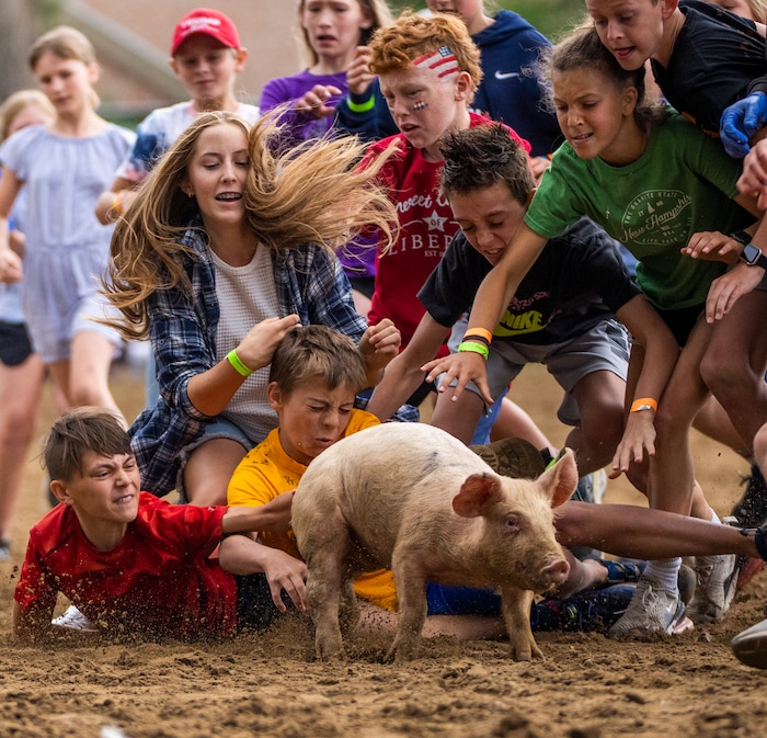 (Rick Egan | The Salt Lake Tribune) Kids wrestle for a pig, in the Pig Chase competition, during the Liberty Days Celebration in Liberty, Utah, on Tuesday, July 4, 2023.  The kids that catch the chickens get to keep them. 