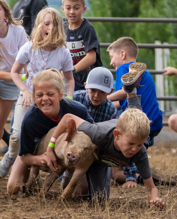 (Rick Egan | The Salt Lake Tribune) Kids wrestle for a pig, in the Pig Chase competition, during the Liberty Days Celebration in Liberty, Utah, on Tuesday, July 4, 2023.  The kids that catch the chickens get to keep them. 