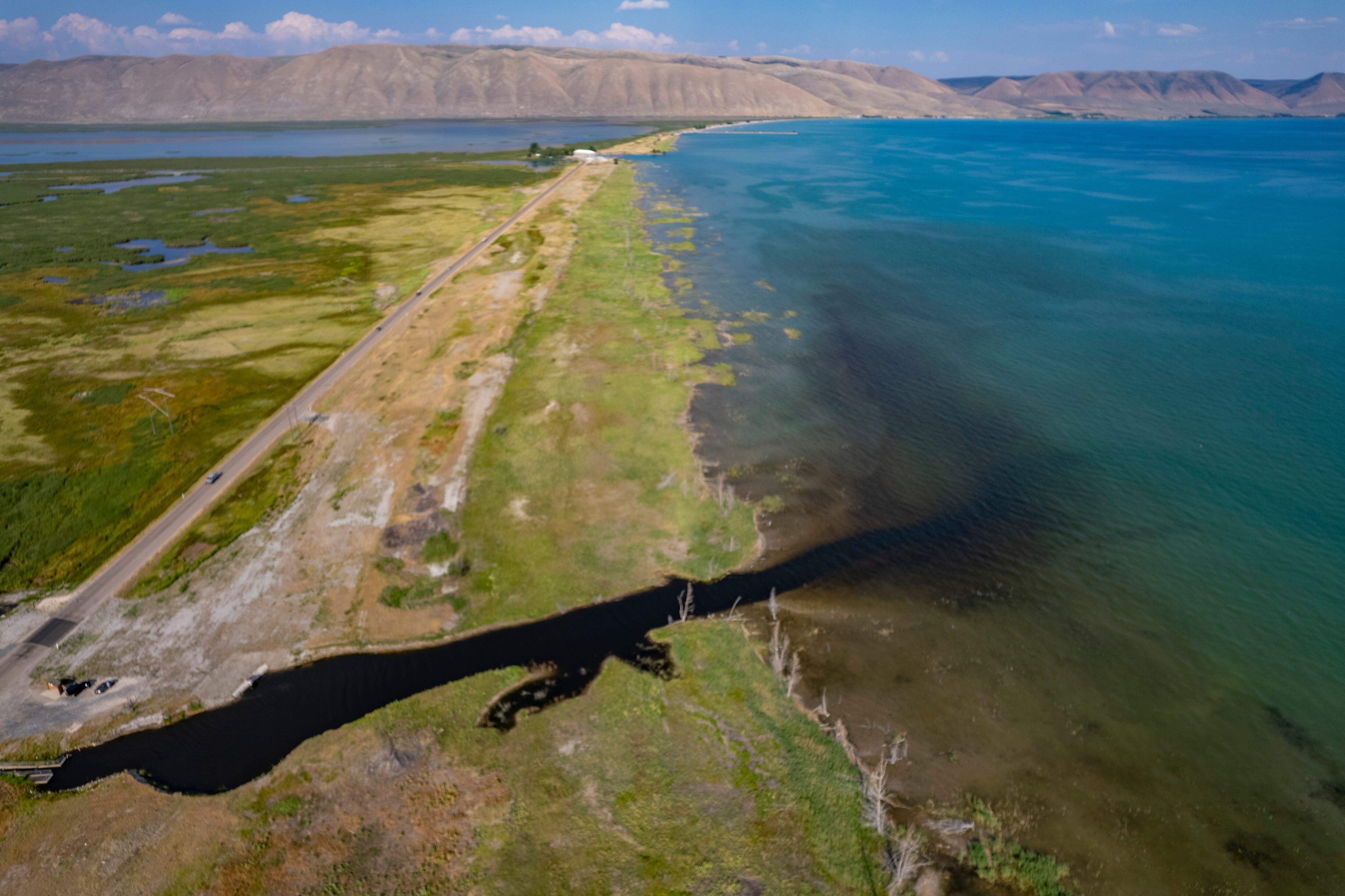 (Rick Egan | The Salt Lake Tribune) Water flows into Bear Lake on the north shore, Friday, July 19, 2024.
