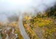 (Francisco Kjolseth  | The Salt Lake Tribune) Low clouds obscure the remaining fall colors of Little Cottonwood Canyon on Thursday, Oct. 17, 2024. The National Weather Service on Oct. 28, 2024, predicted a cold front coming through the Wasatch Front — bringing temperatures 10 to 20 degrees colder than usual for late October, along with a chance of rain and, in the mountain areas, some snow.